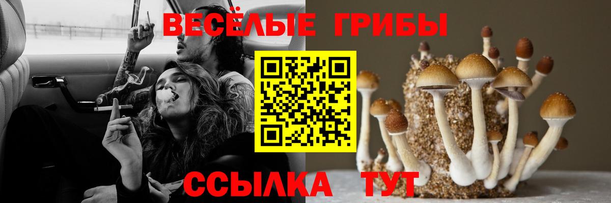 Галлюциногенные грибы Magic Shrooms Лениногорск